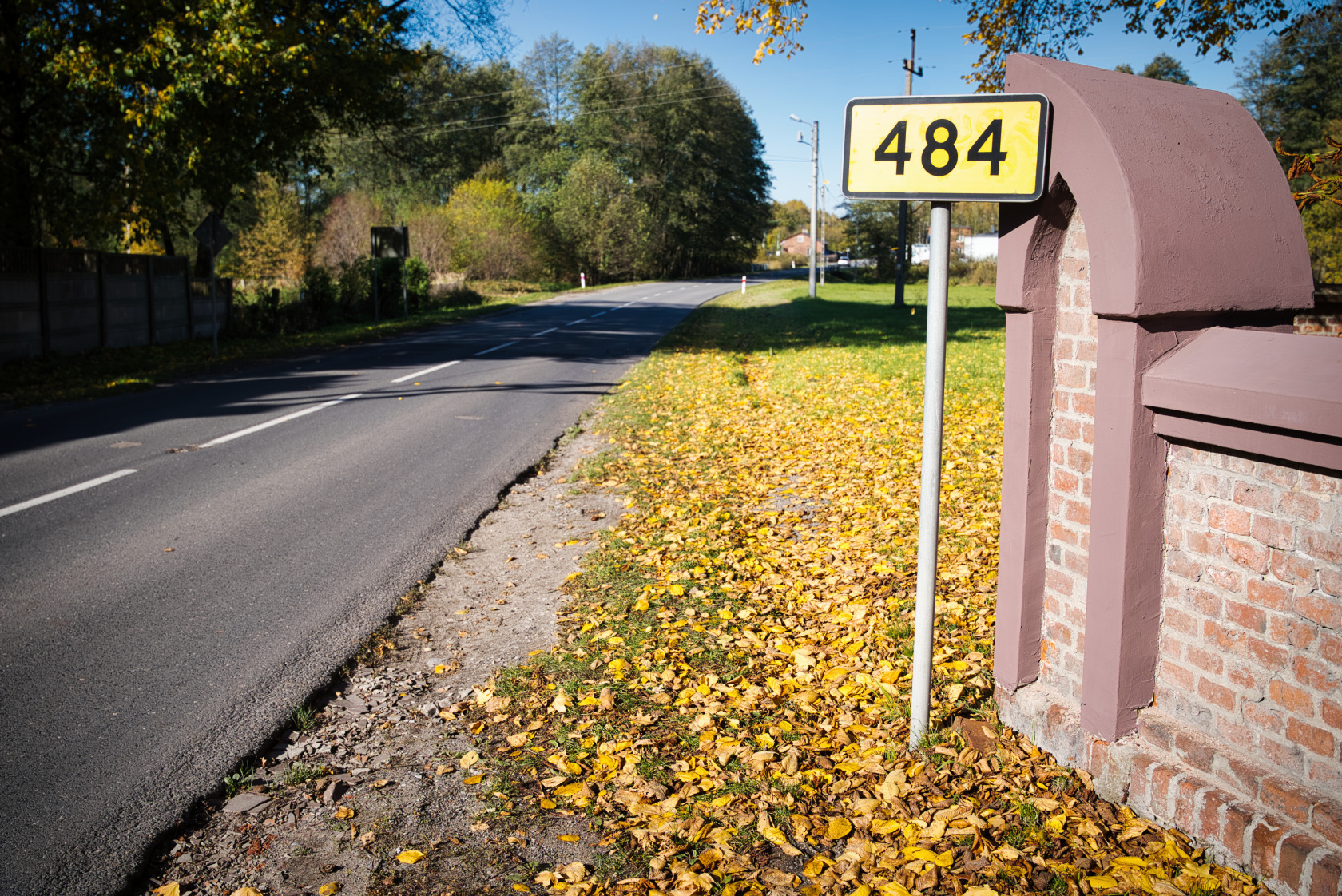 482.jpg
