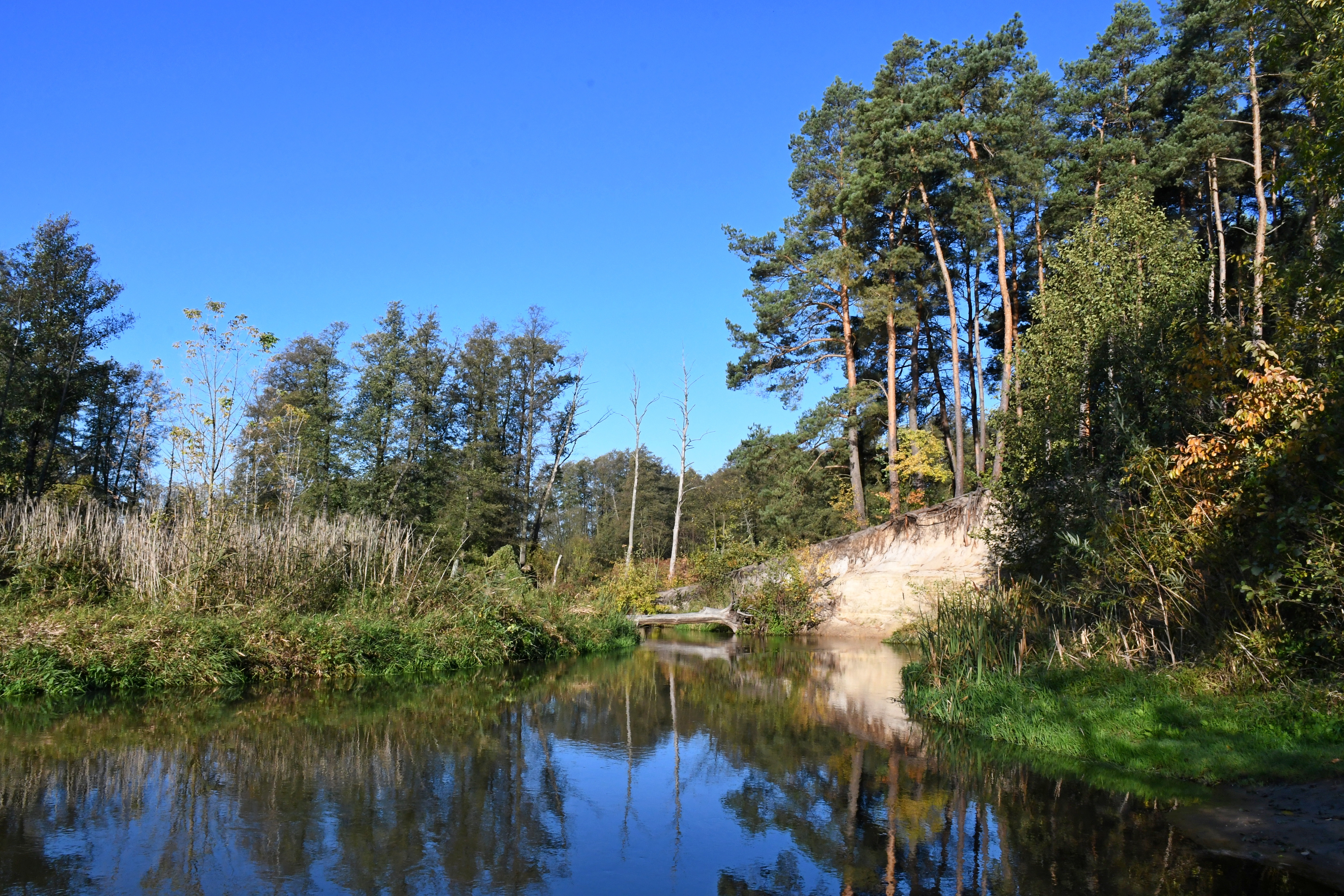 Bolimowski_Park_Krajobrazowy_fot._Kinga_Nowak_1.JPG