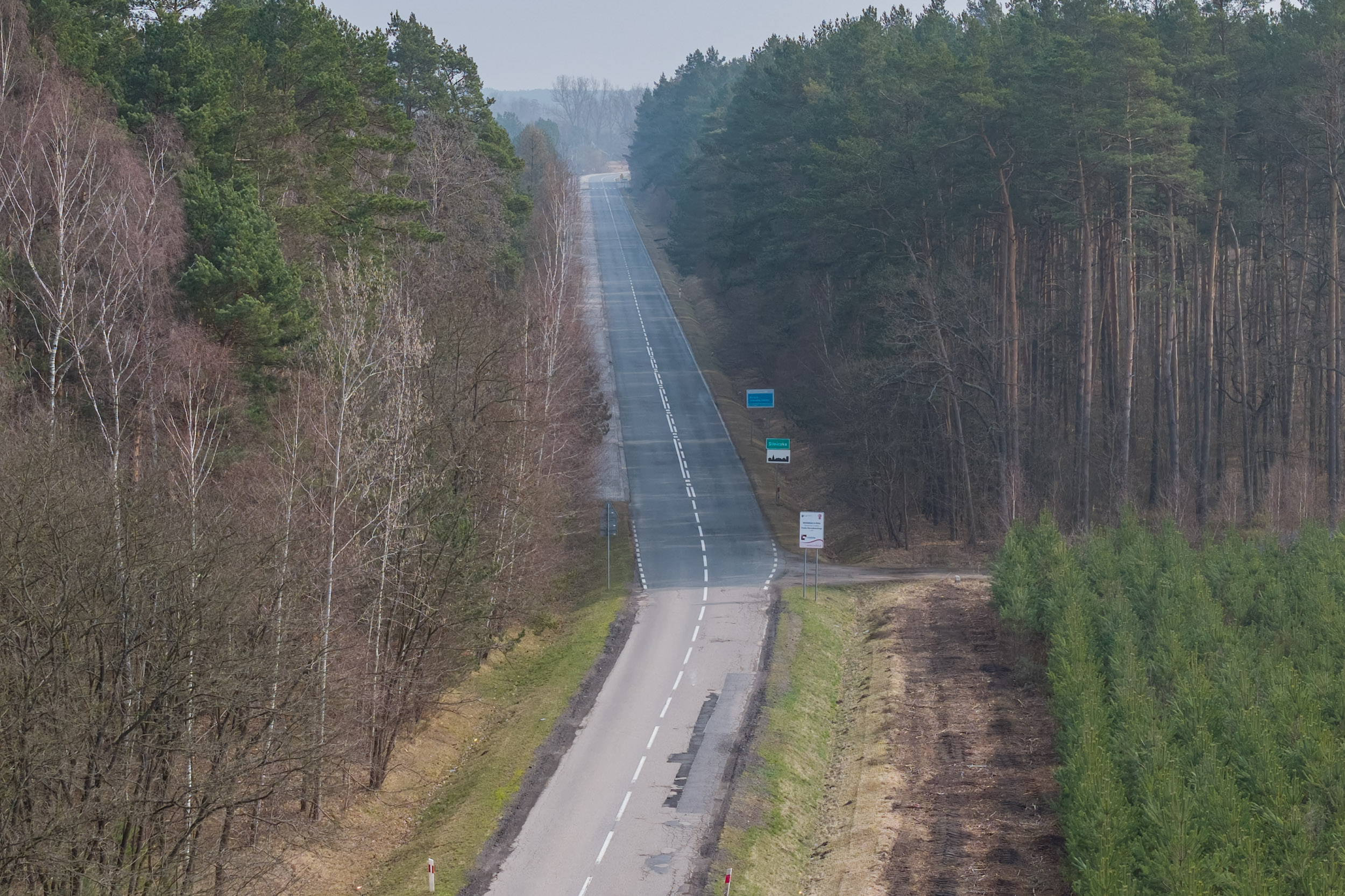 DJI_20260316103814_0014_D.jpg