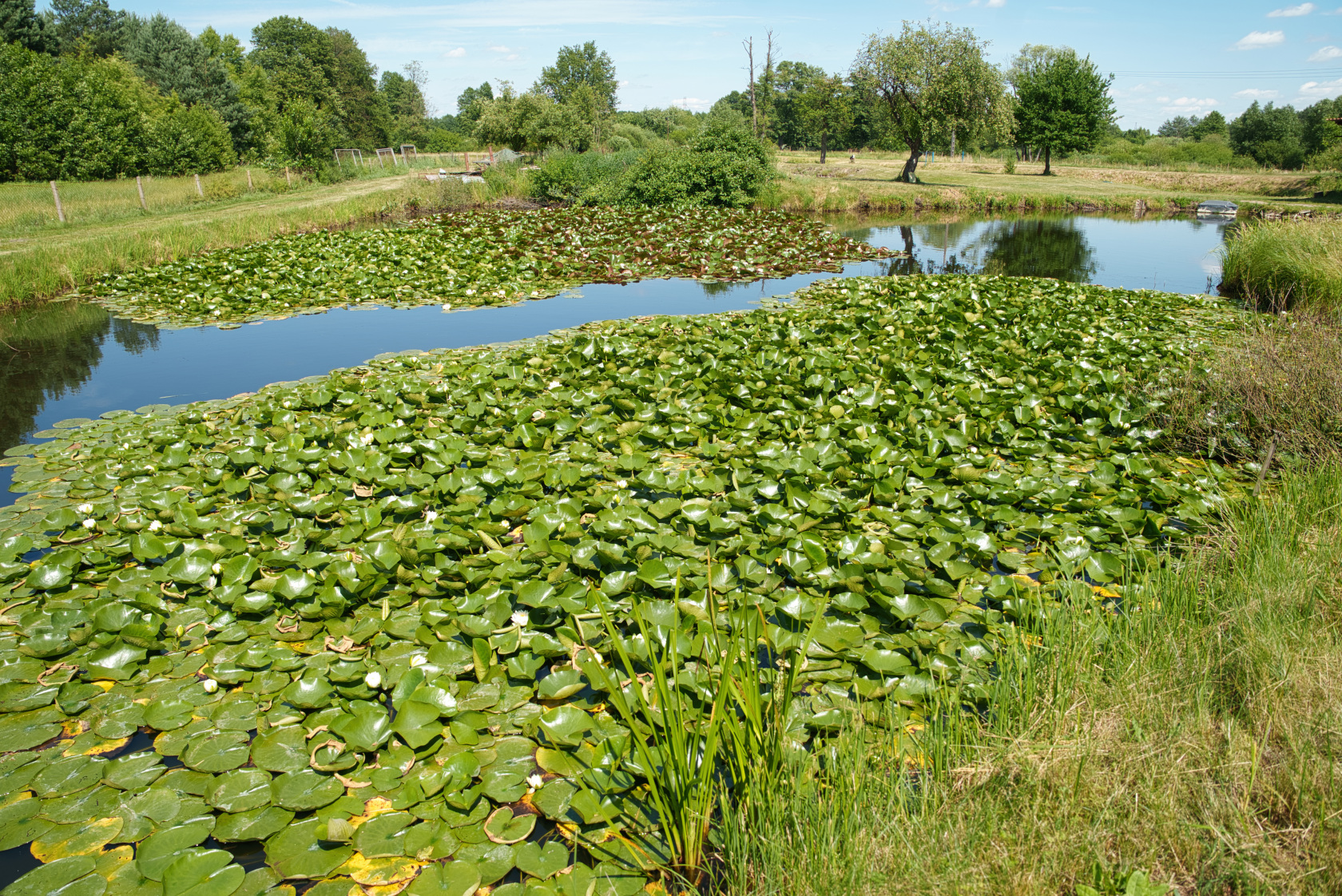 DSC00786.jpg