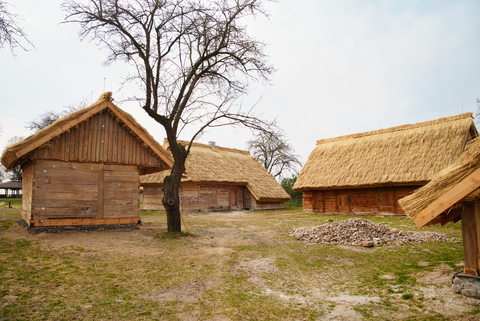 DSC00952_1.jpg