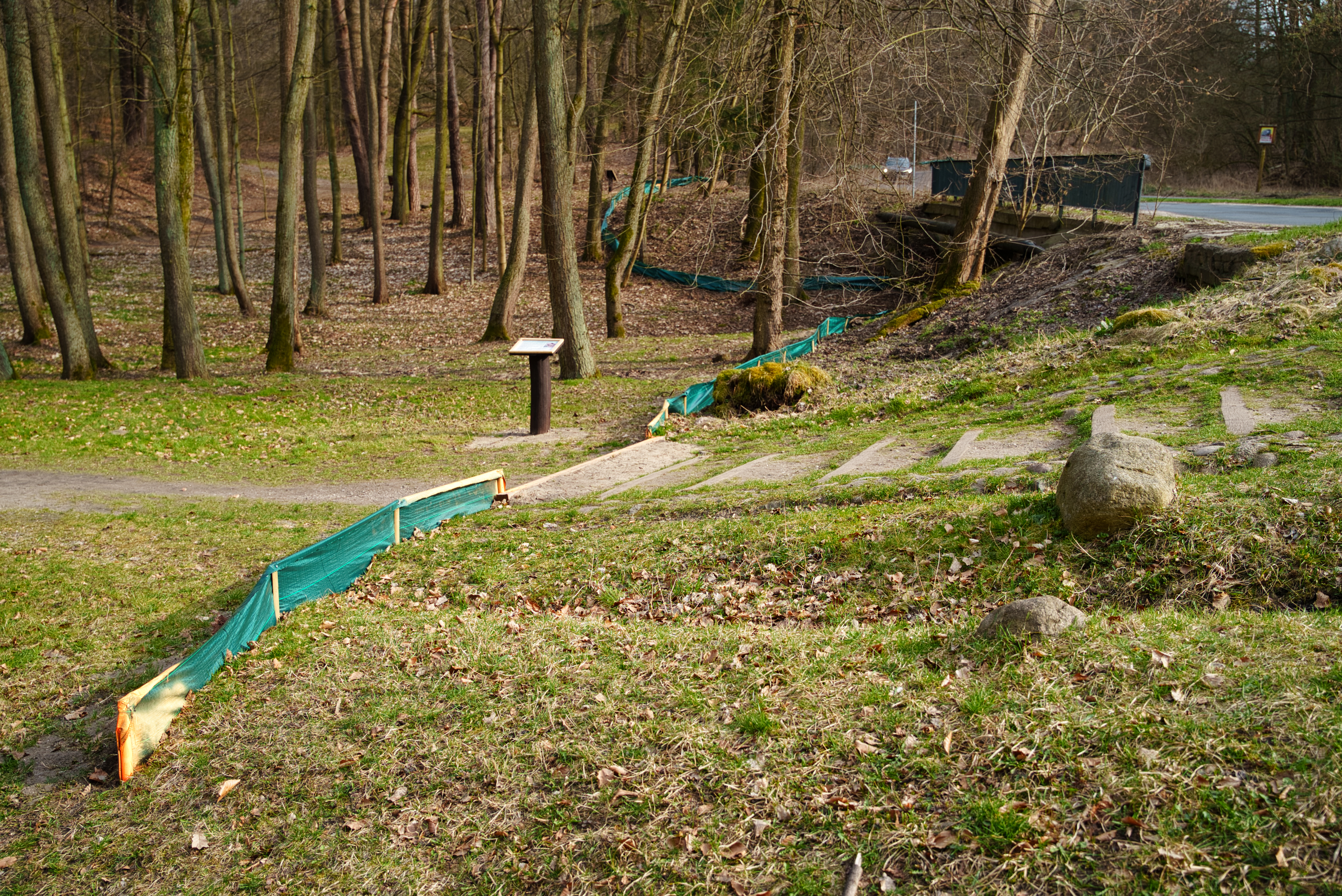 DSC01354.jpg