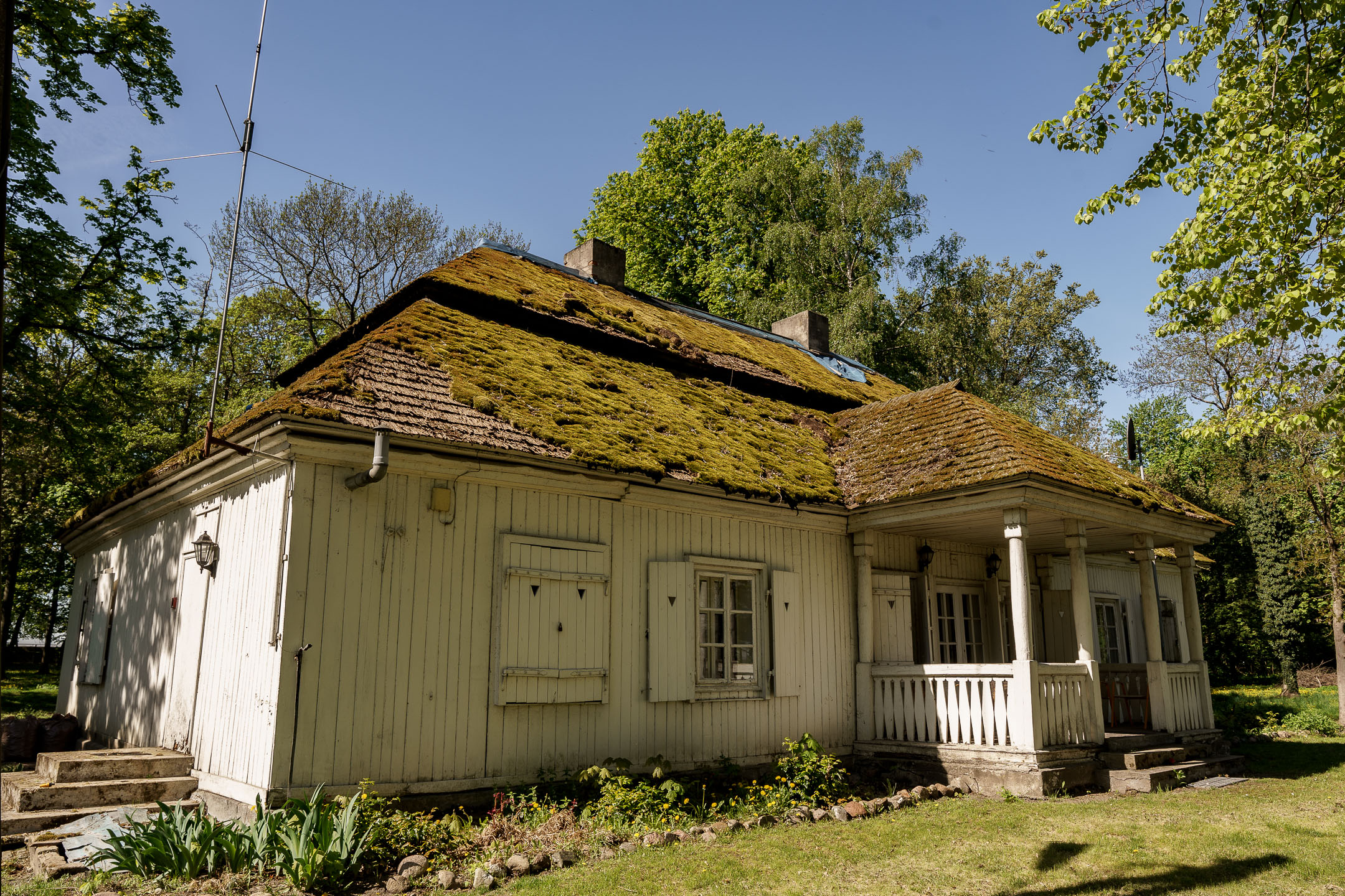 DSC08059.jpg