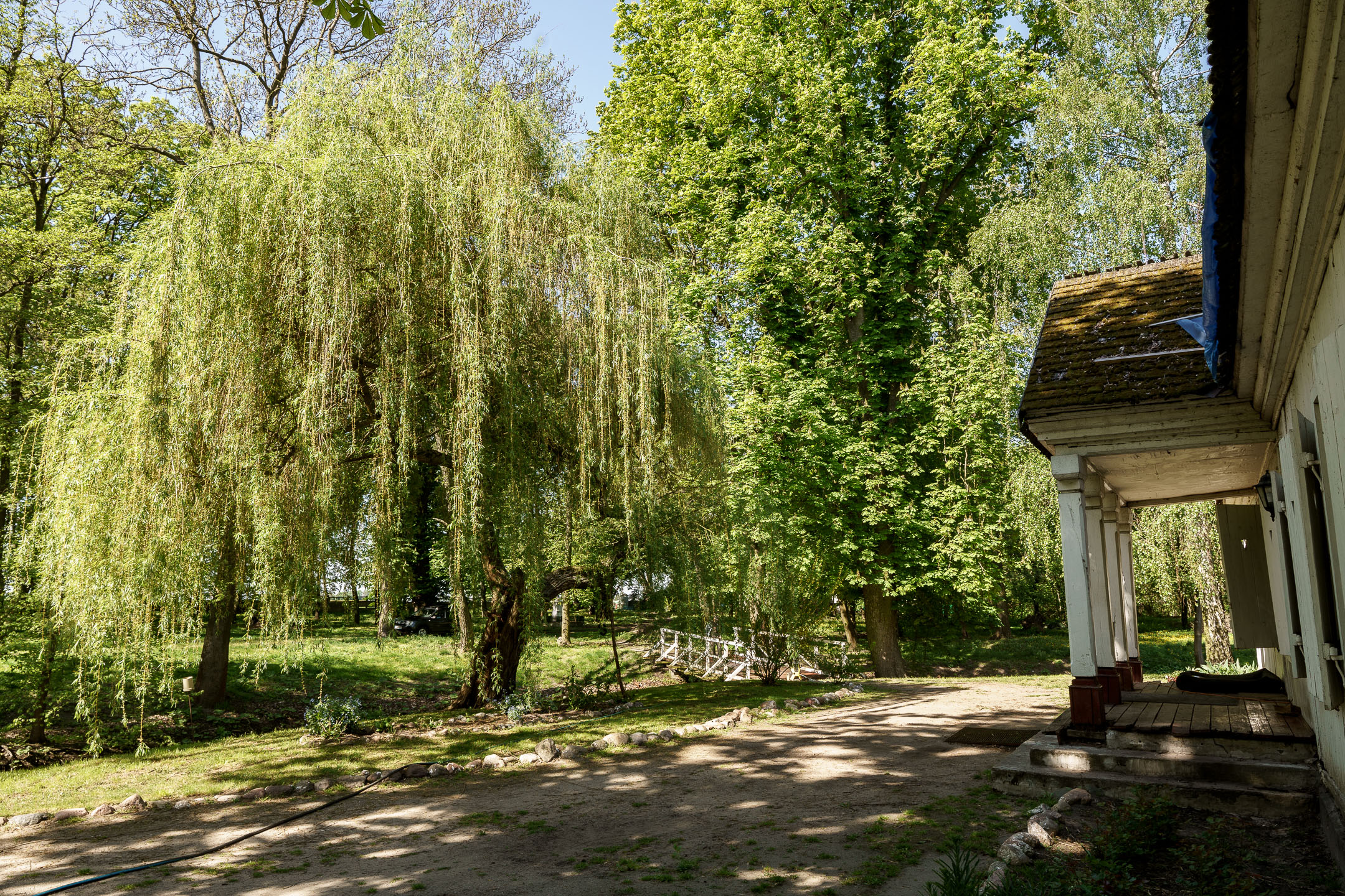 DSC08082.jpg