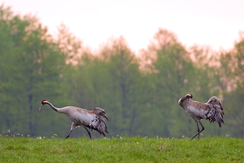 Park_Krajobraowy_Wziesień_Łódzkich_1.jpg
