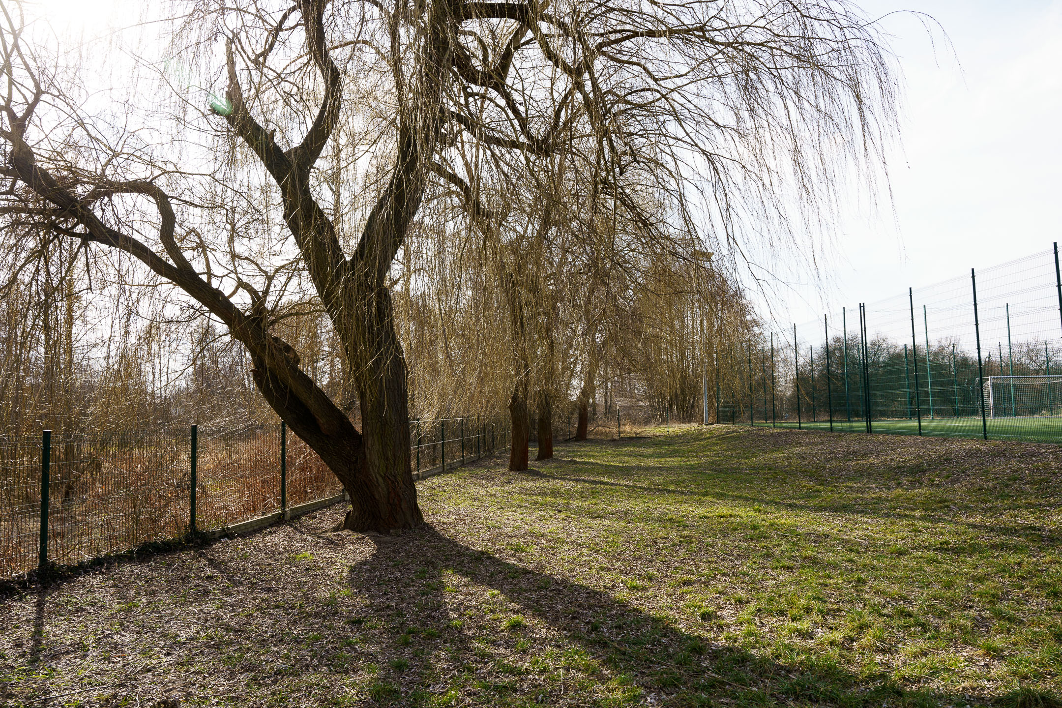 Rzgów1_1.jpg
