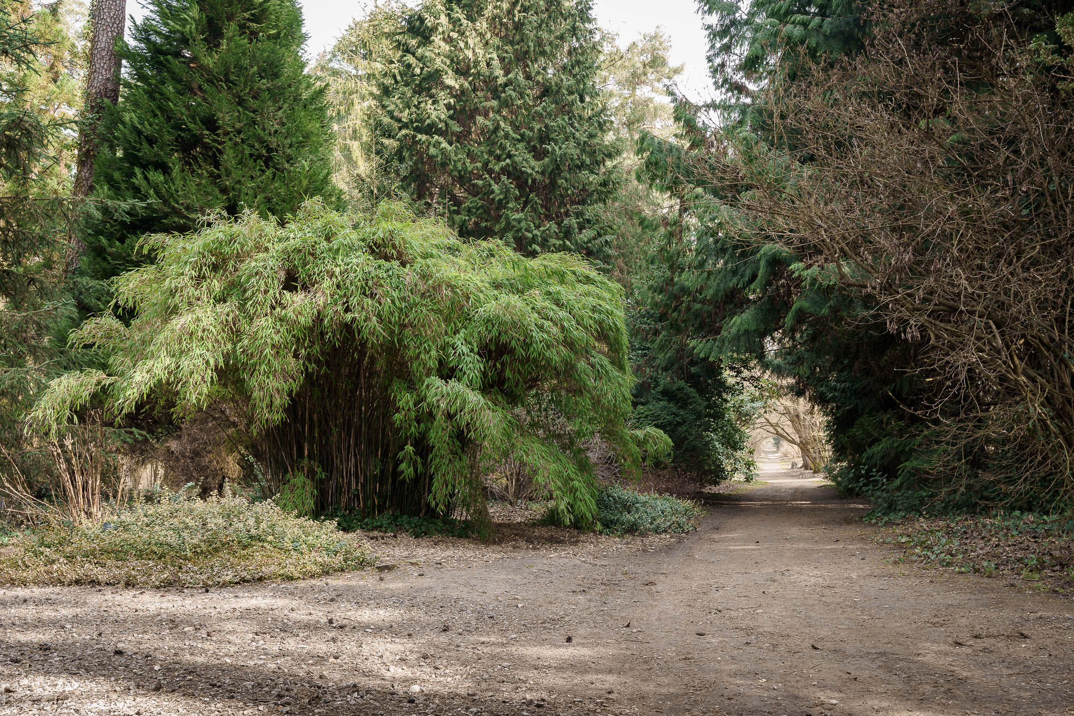 SONY_MR_Arboretum-04.jpg