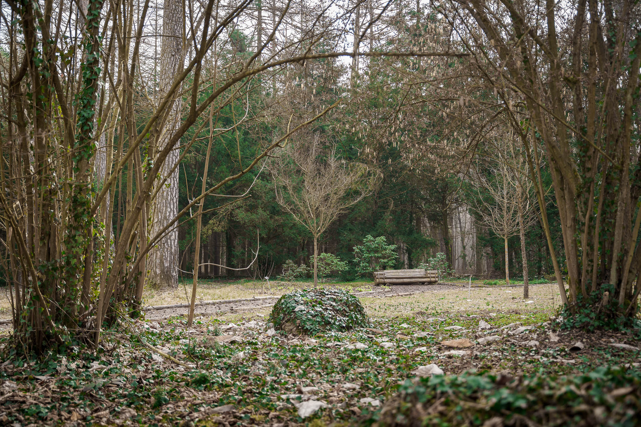 SONY_MR_Arboretum-09.jpg