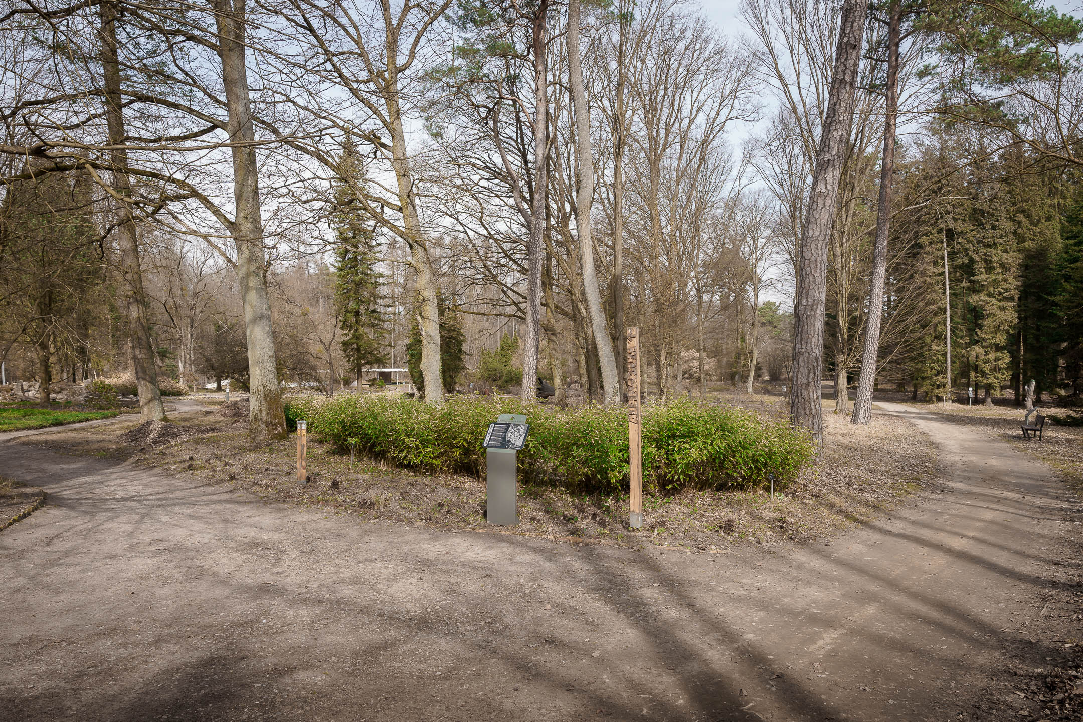SONY_MR_Arboretum-20.jpg