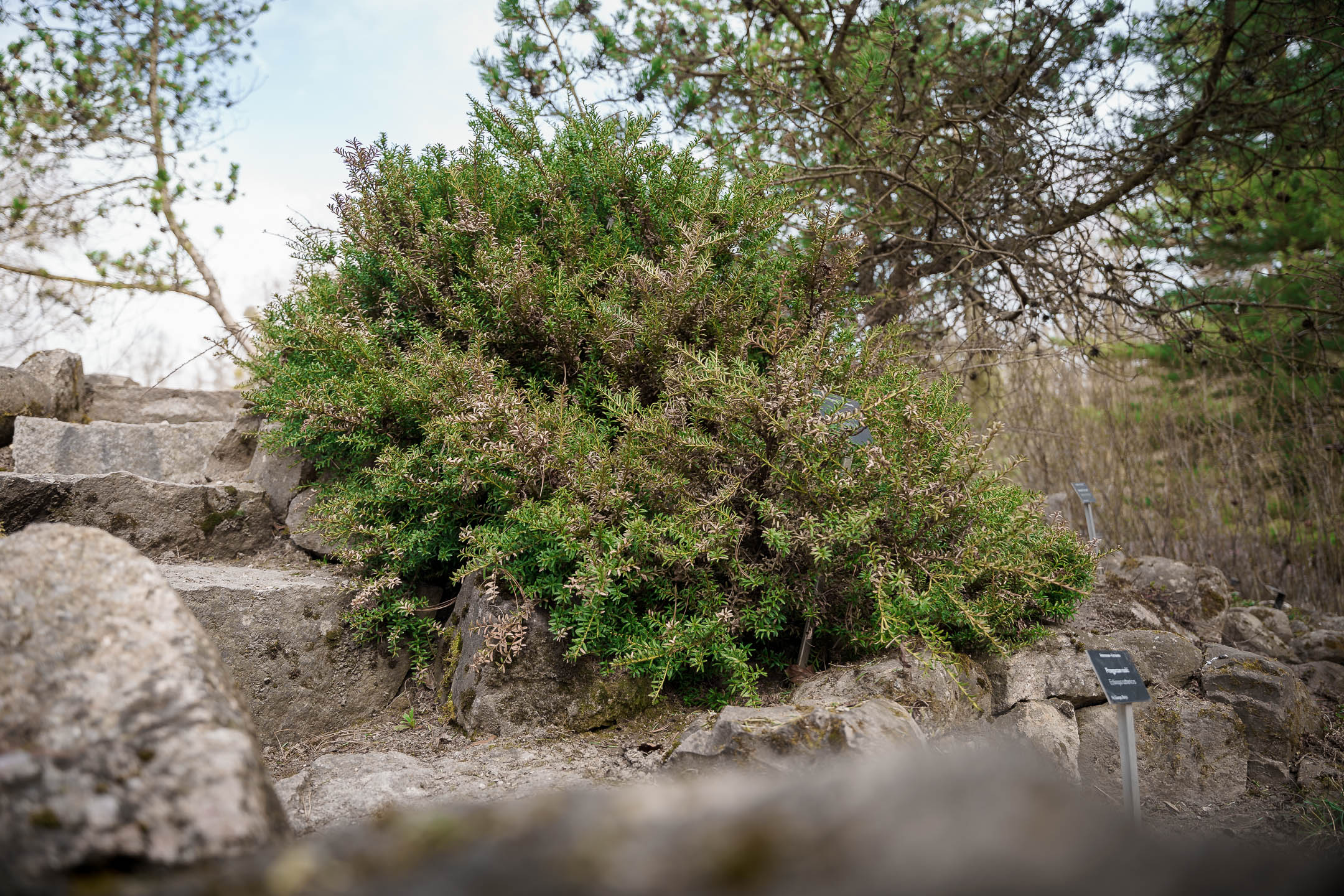 SONY_MR_Arboretum-34.jpg