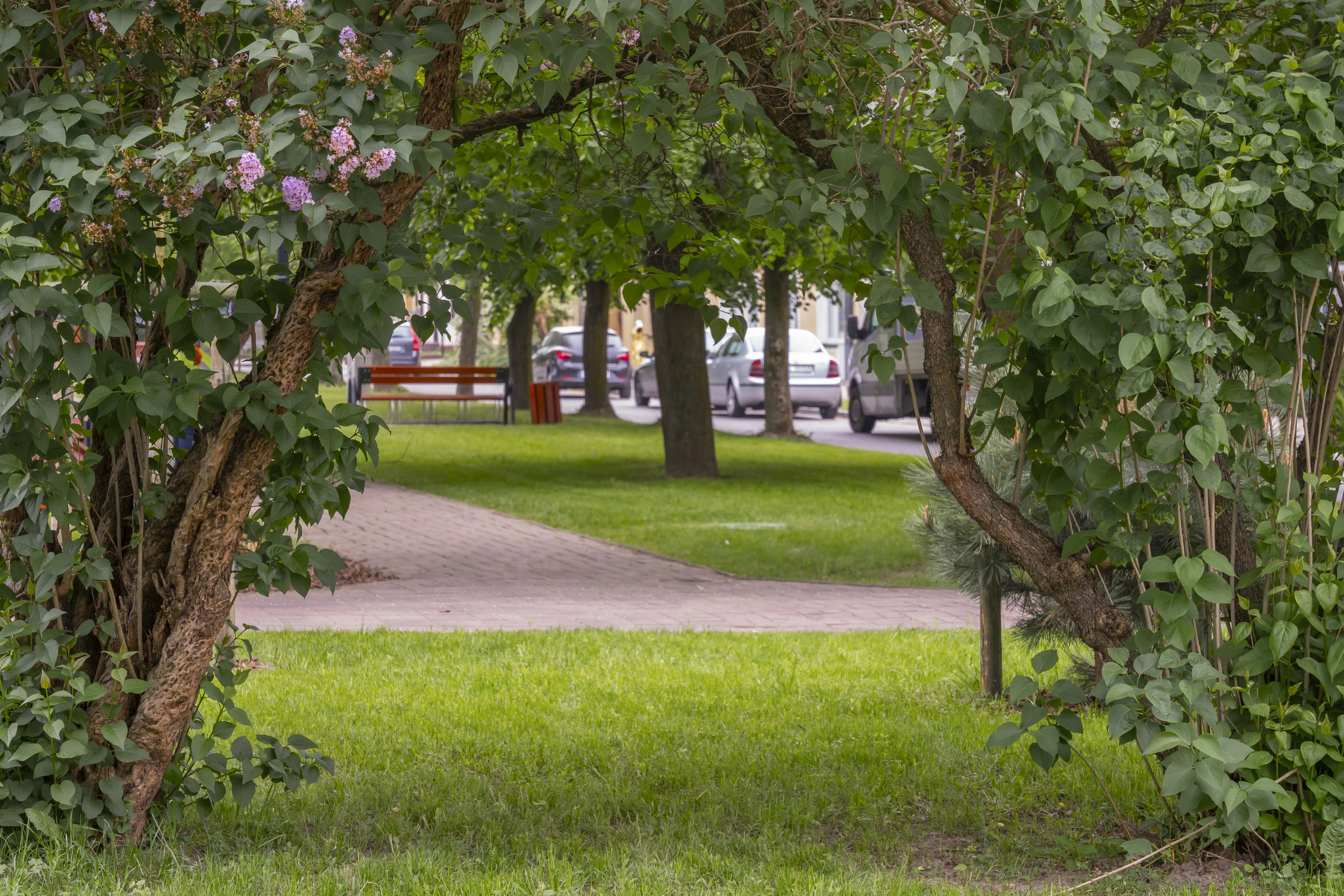 Sulmierzyce_plac_20.jpg