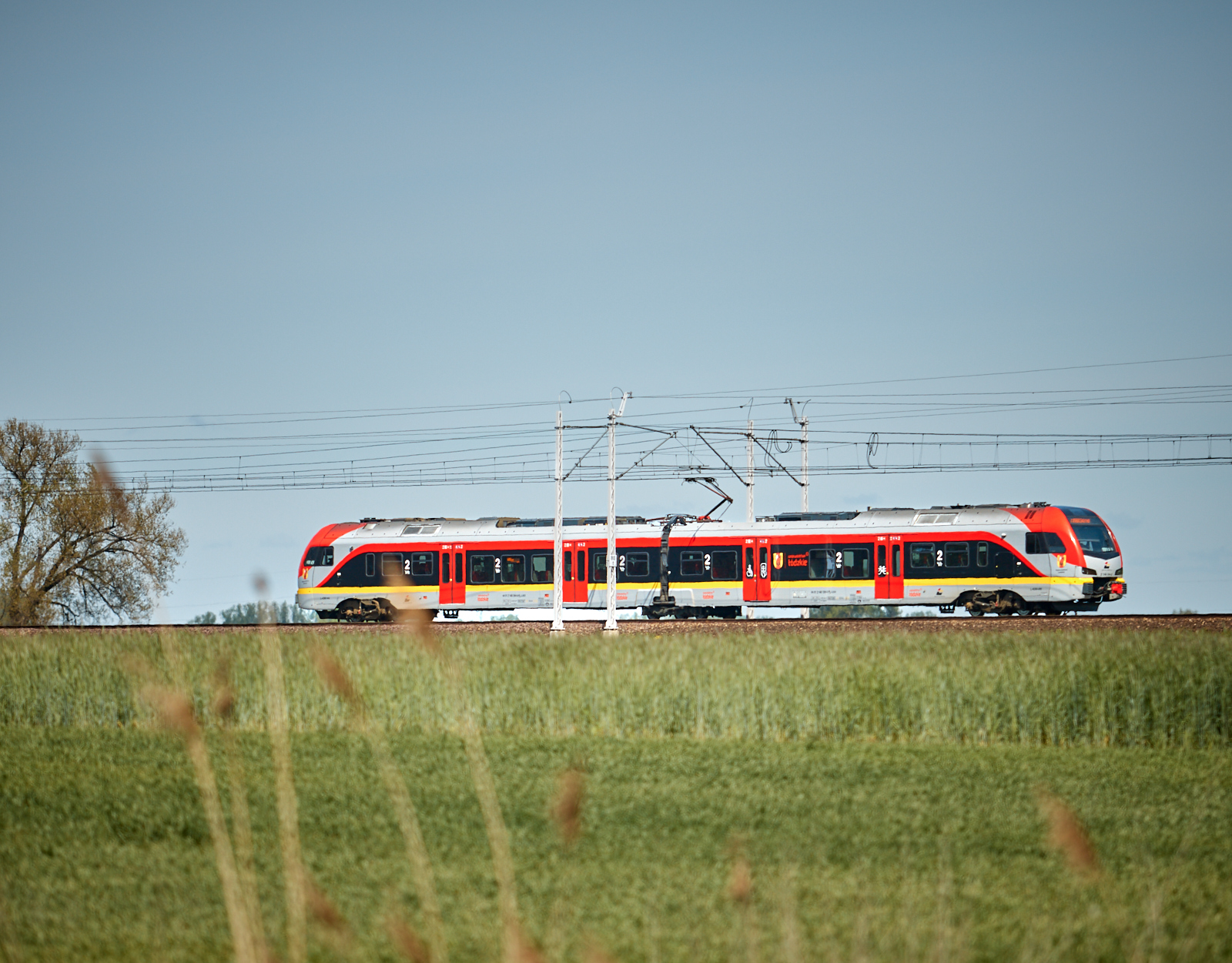 _TR60343net.jpg