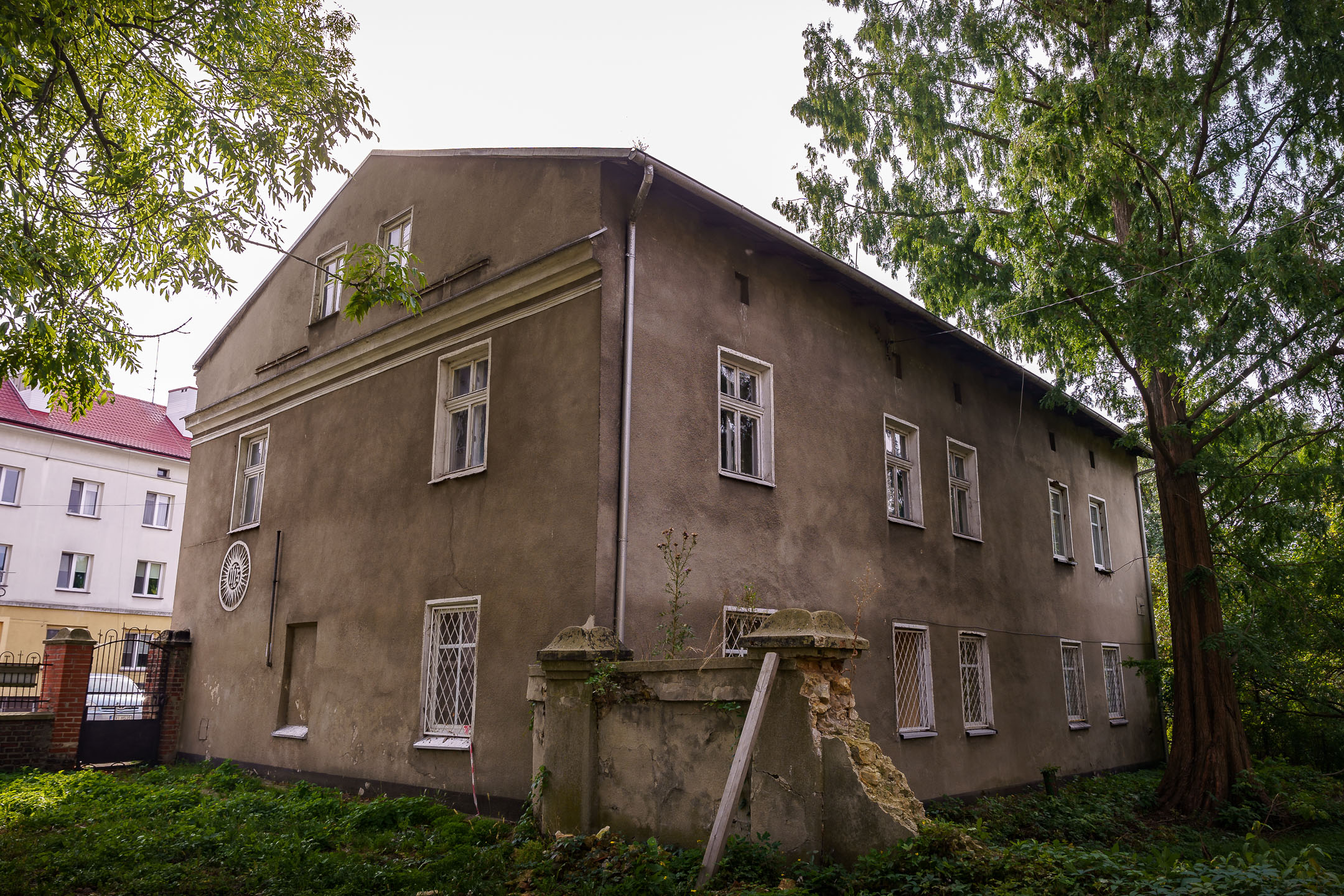 dsc00695.jpg