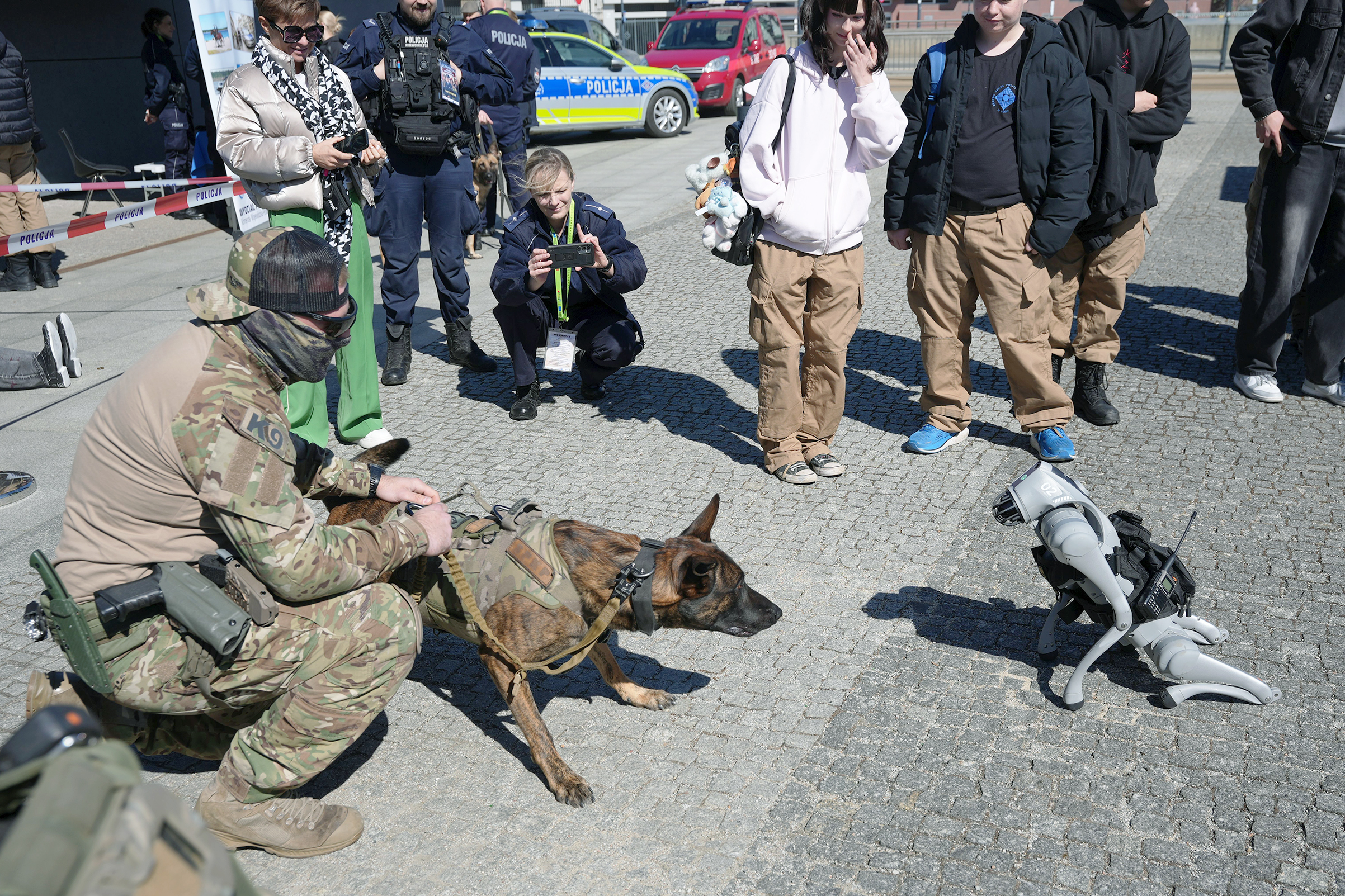 festiwal_3.jpg