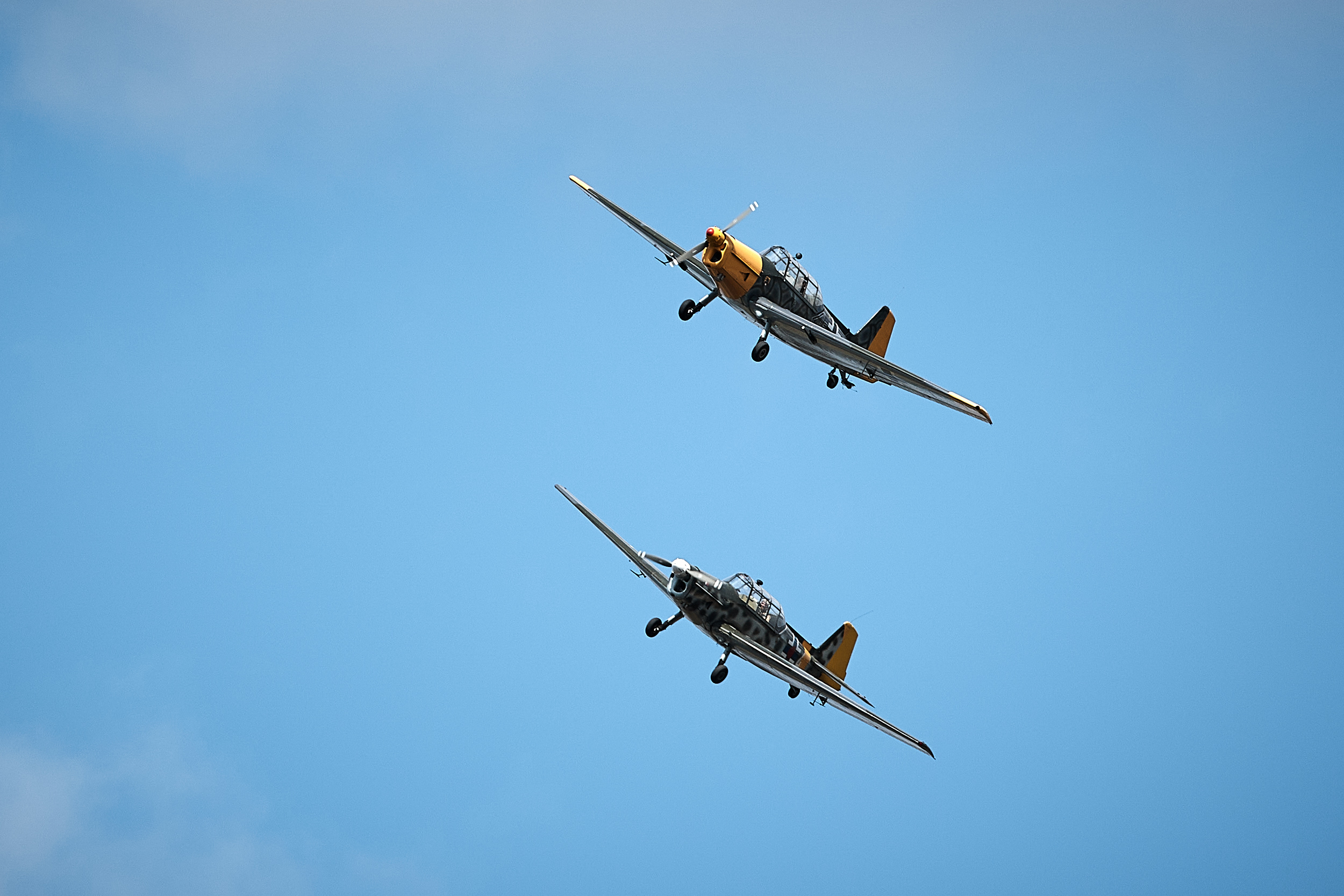 fly-fest_2.jpg