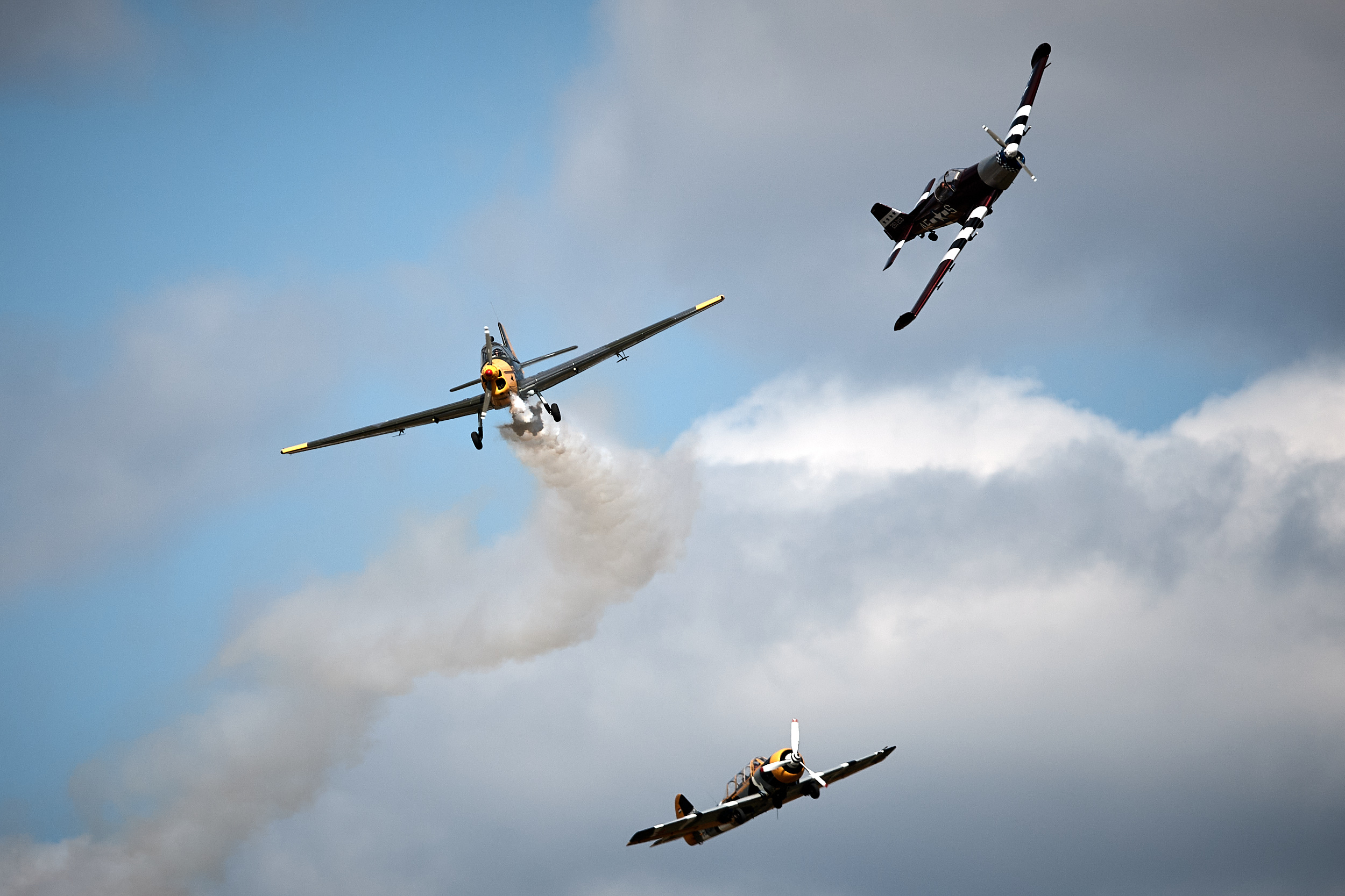 fly-fest_4.jpg