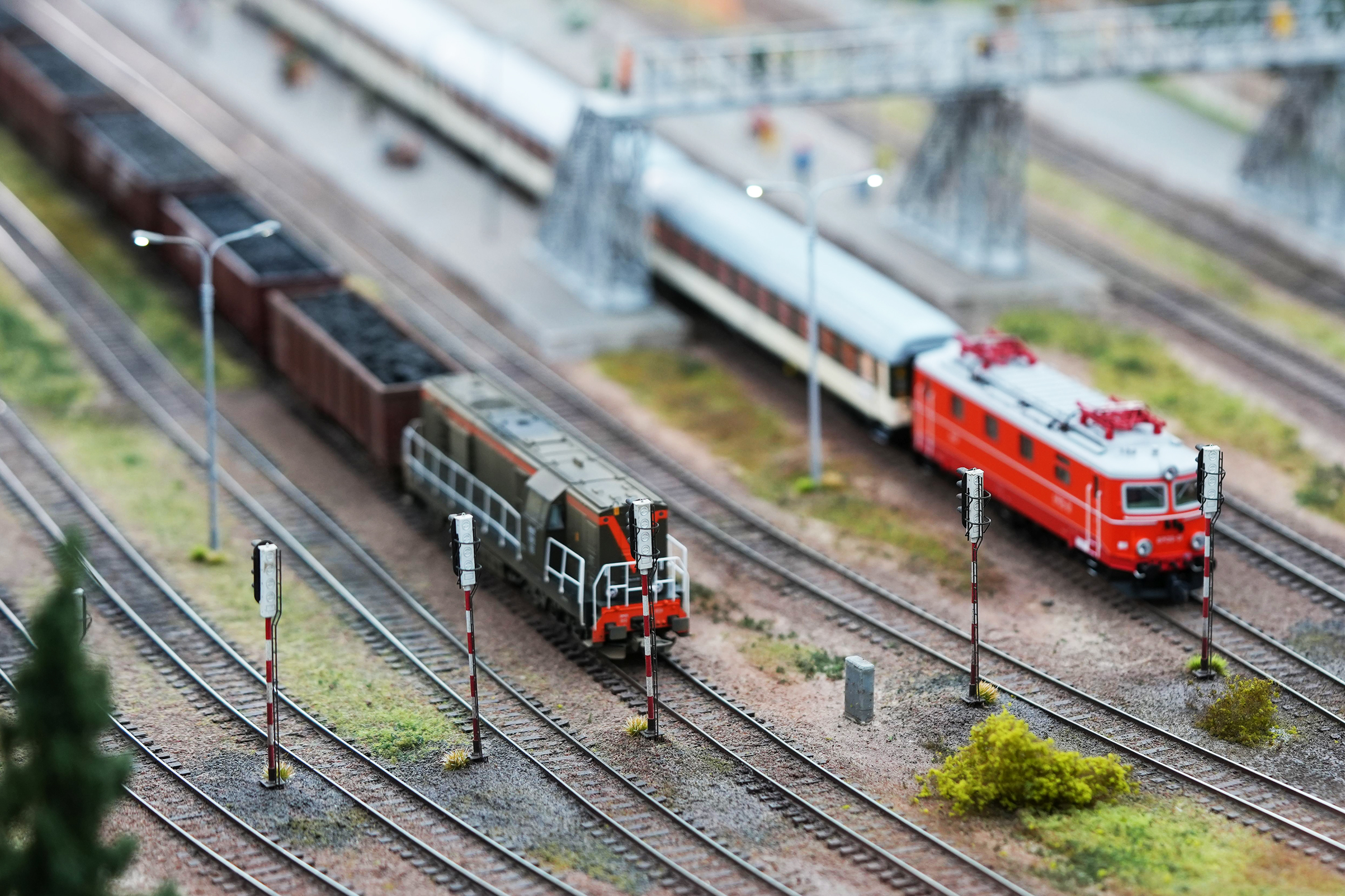 miniatury_MIS01848.jpg
