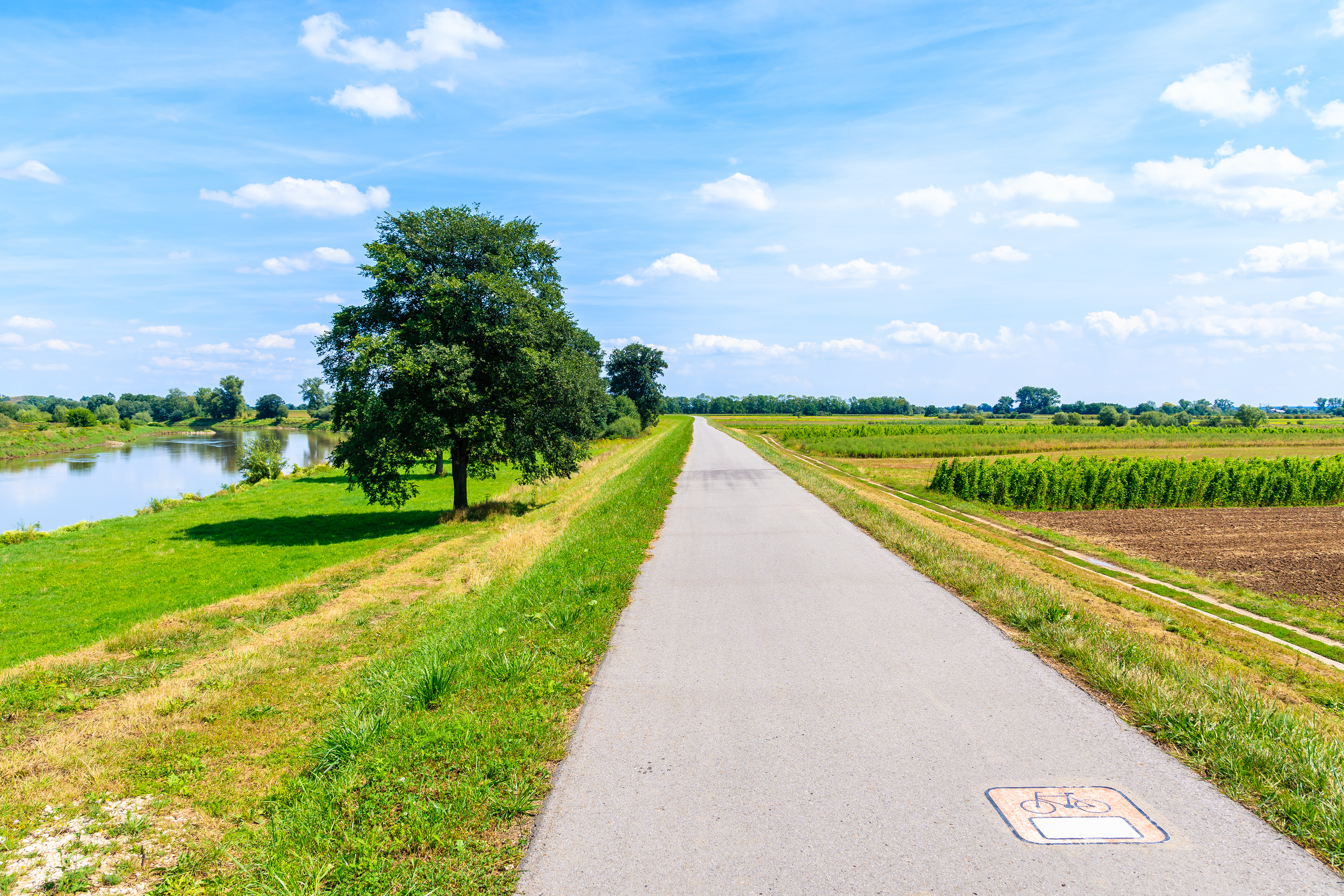 shutterstock_1155288160_1.jpg