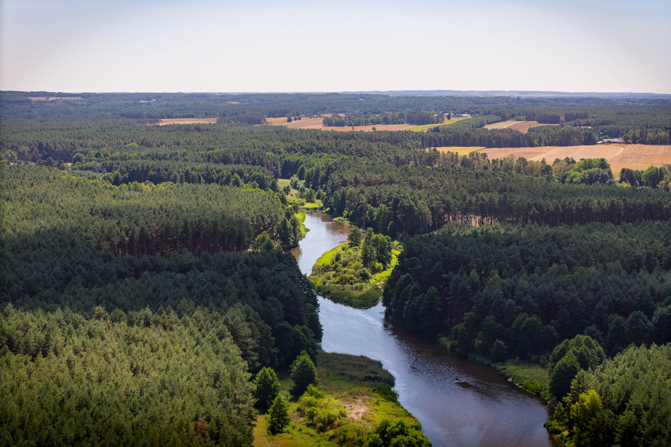 warta-i-lasy.jpg
