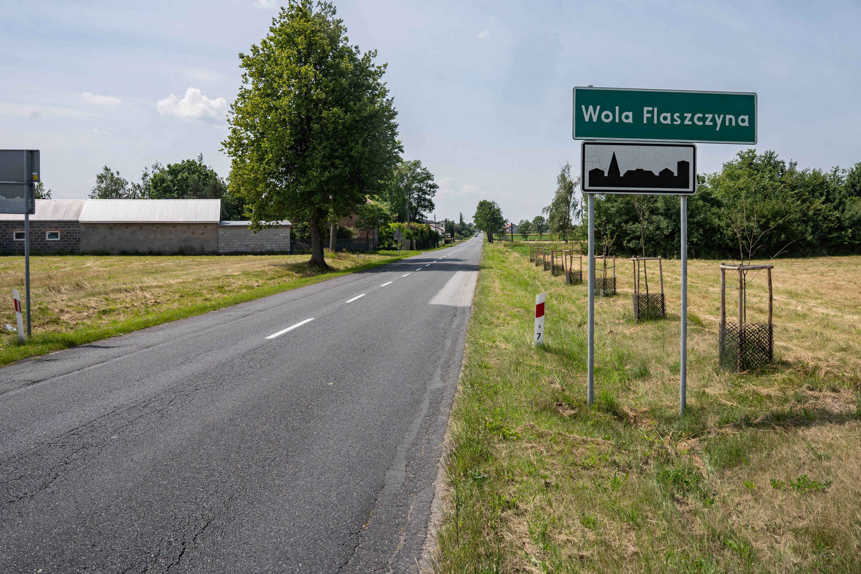 wola_5.jpg