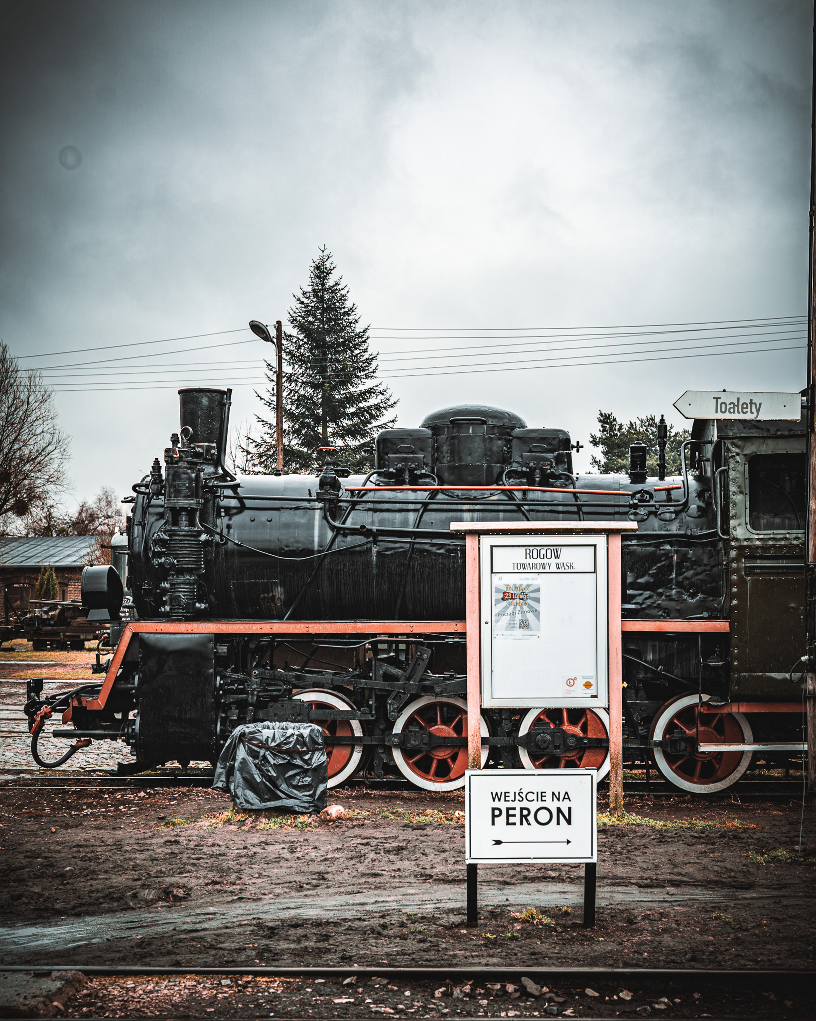 2_19.jpg
