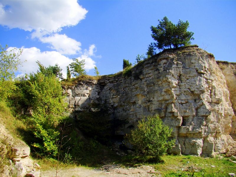 lisowice.jpg