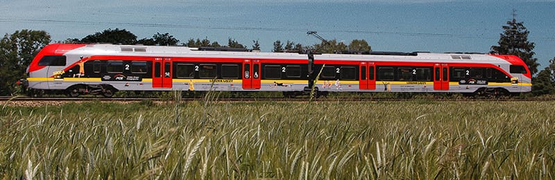 zdj1