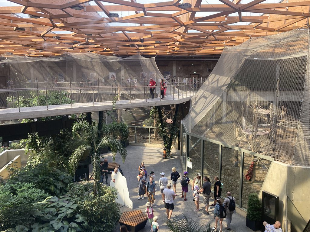View of the interior of the Orientarium pavilion. Below, greenery and a walking path full of visitors and an animal enclosure, at eye level, platforms secured with netting, above them a wooden openwork ceiling structure