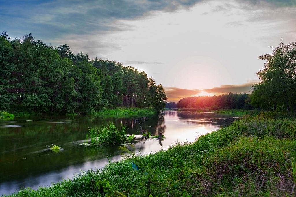A calm surface of water among lush greenery, with the sunrise in the background.