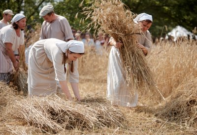 Łódzkie pełne tradycji. Łowickie żniwa jak za dawnych lat