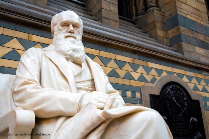 12 luty - Światowy Dzień Darwina