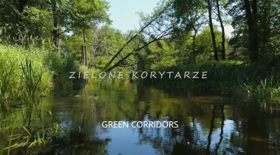 Film ,, Zielone korytarze” na międzynarodowym konkursie