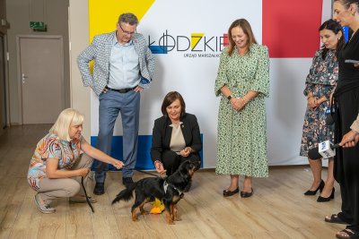 Łódzkie dla zwierząt. Samorządy łączą siły w walce z bezdomnością psów i kotów