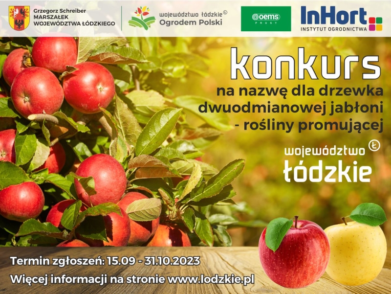 Konkurs na nazwę dla drzewka dwuodmianowej jabłoni – rośliny promującej Województwo Łódzkie