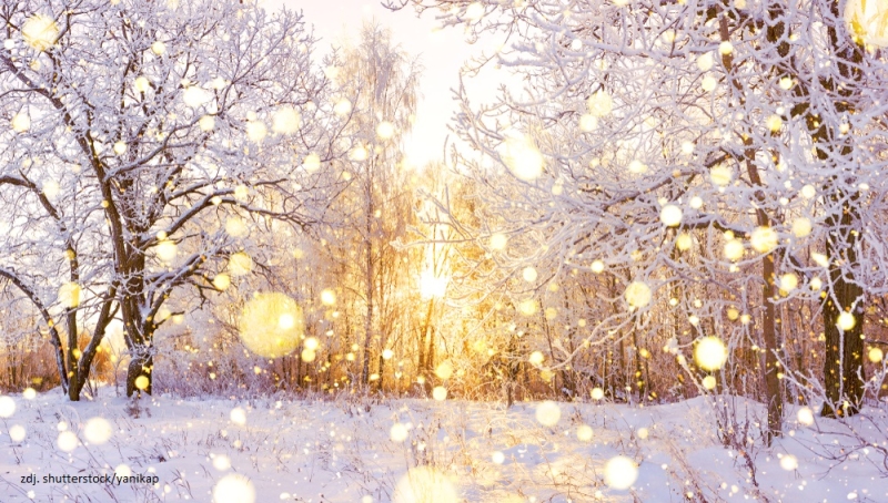 22 grudnia – Pierwszy Dzień Zimy