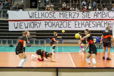 Wiewióry szykują się do sezonu