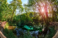 A large limestones quarry surrounded by greenery.