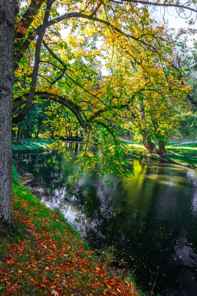 Spływ Skierniewką (Łupią)