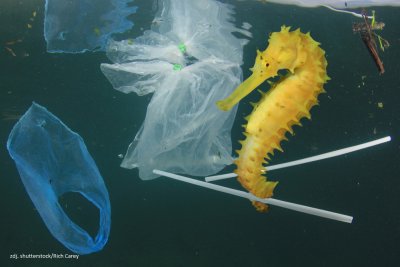 18 marca Światowy dzień recyklingu