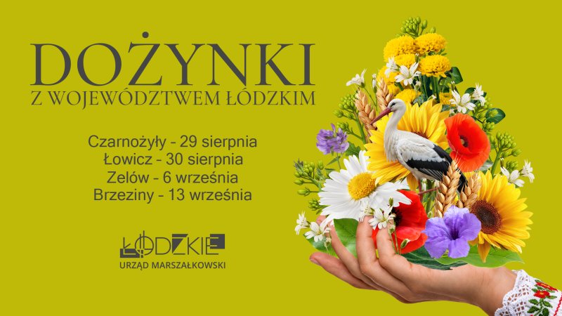 Dożynki z Wojew&oacute;dztwem Ł&oacute;dzkim - nab&oacute;r do konkursu kulinarnego