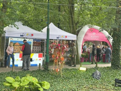 Ł&oacute;dzkie w r&oacute;żanym klimacie &ndash; Święto R&oacute;ży w Kutnie 5-7.09.2025 r.