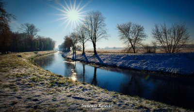 fot. I. Kosecki