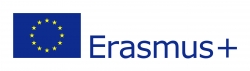 Kwestionariusz dla zakładów obuwniczych. Projekt ERASMUS+ SHOES MADE IN EU