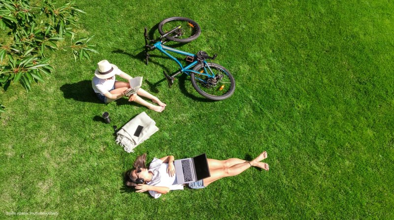 19 września - Dzień Dzikiej Fauny, Flory i Naturalnych Siedlisk i Park(ing) Day