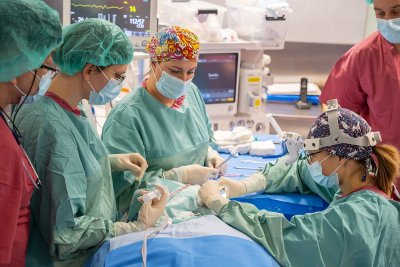 Rekordowe inwestycje w zdrowie w Łódzkiem w 2025 roku