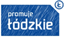 Zarząd Województwa Łódzkiego przyjął do realizacji Polityki Sektorowe dla 6 regionalnych inteligentnych specjalizacji.