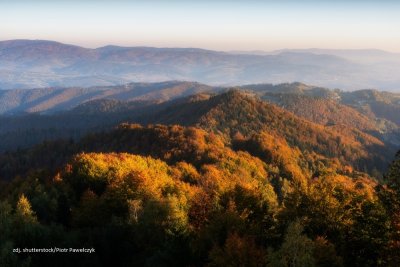 31 grudnia - Dzień rocznicy utworzenia Parku Krajobrazowego Wzniesień Ł&oacute;dzkich