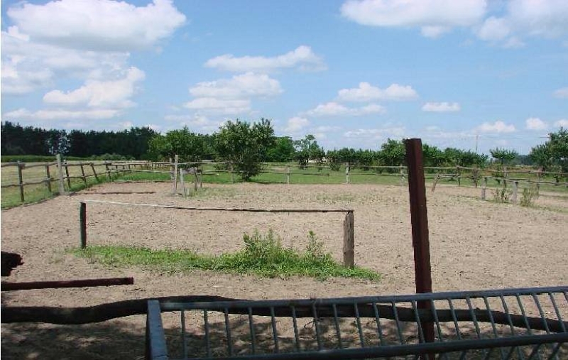 Ogrodzony plac i padoki.