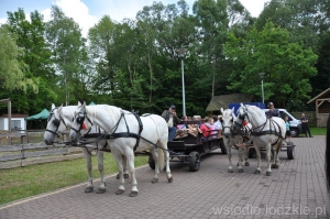 Piknik Rodzinny Łódzkiej Kolei Aglomeracyjnej w Centrum Zarządzania Szlakiem Konnym