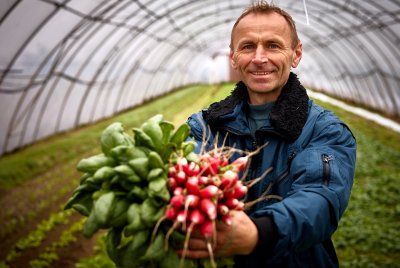 Wiosna na talerzu. Zapraszamy na rynki &bdquo;Prosto od rolnika&rdquo;